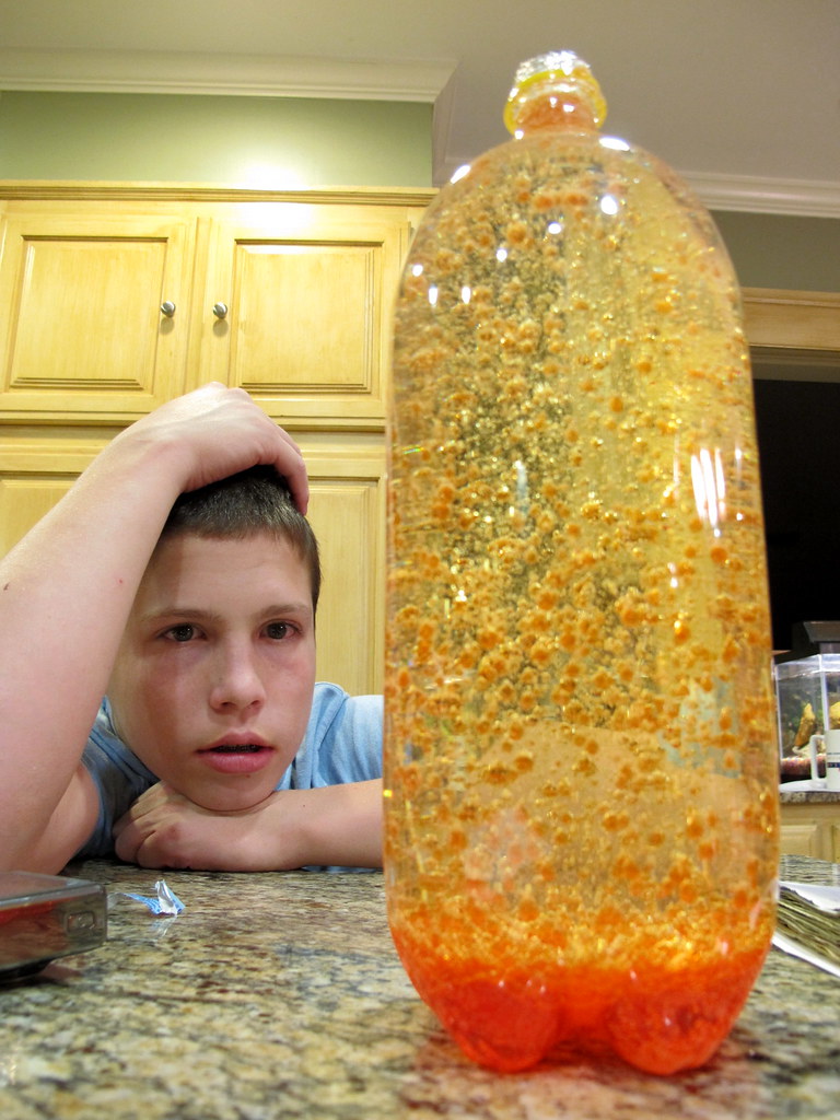 how to make a lava lamp with oil and water