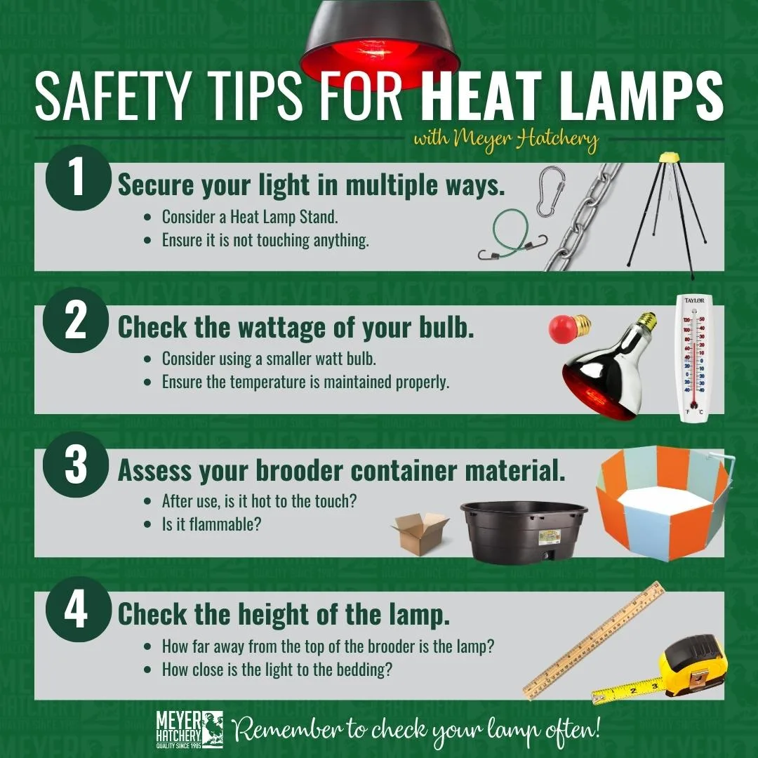 How to Use a Heat Lamp Safely