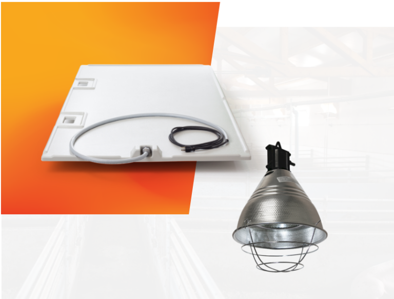 Heat lamp vs heat pad Whats the Difference in 2024