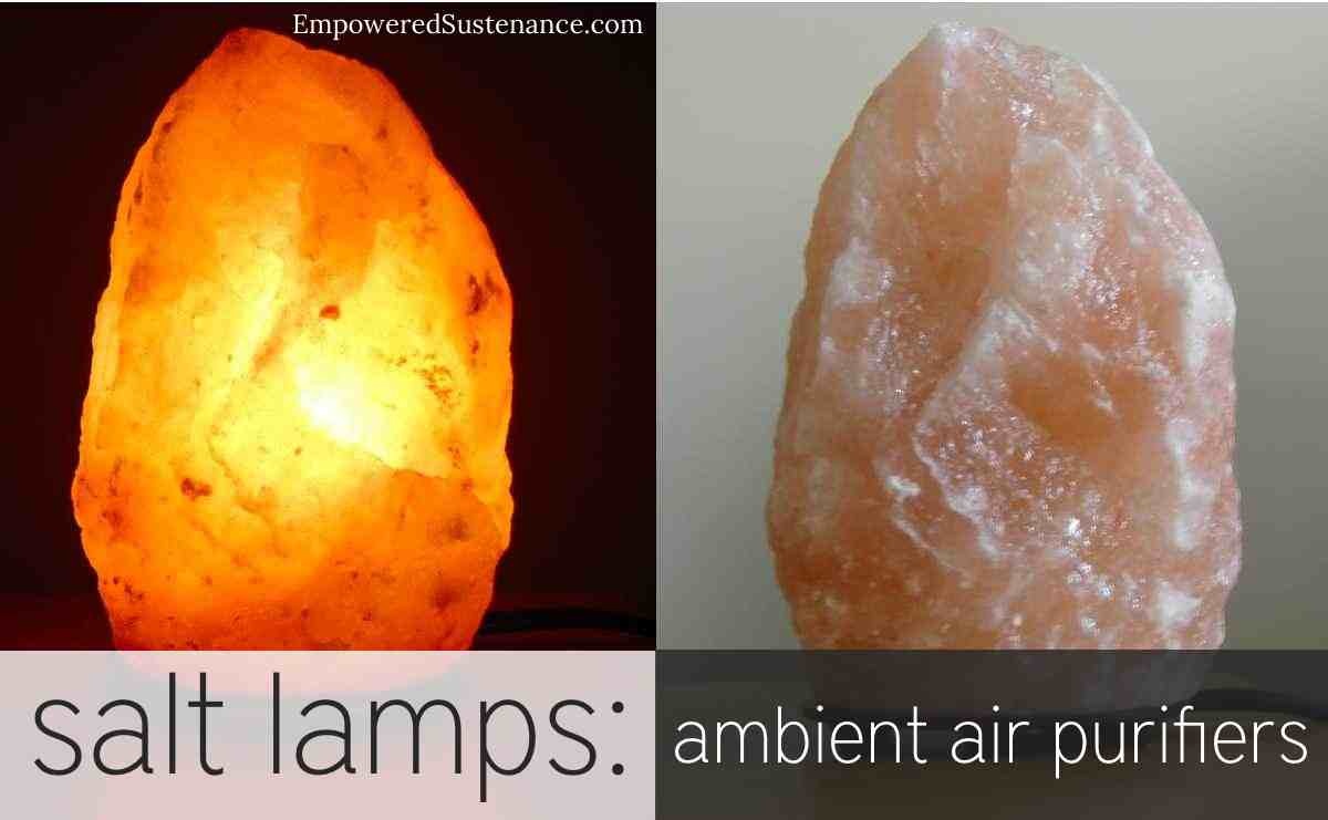 Salt Lamps vs air purifier Which is Better for You in 2024