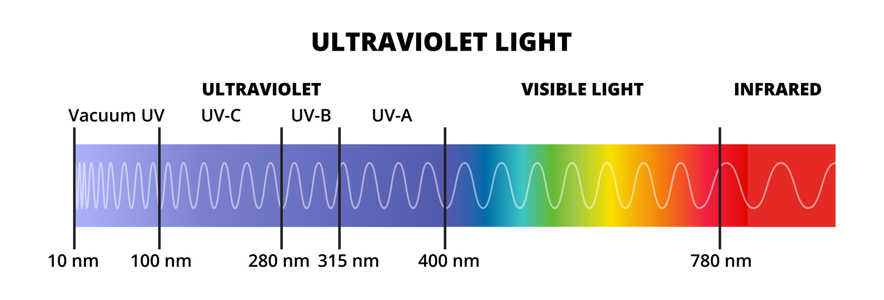 Vector diagram with the ultraviolet light spectrum UV isolated on a white background. Electromagnetic radiation with a wavelength from 10 nm to 400 nm.