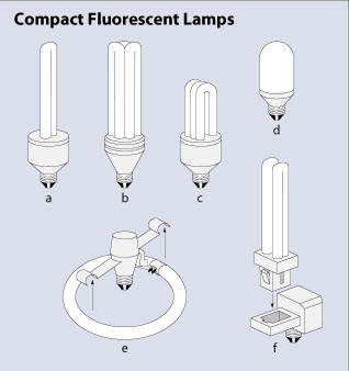 what are the four types of fluorescent lamp